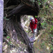 On the way to the Laguna Tronador